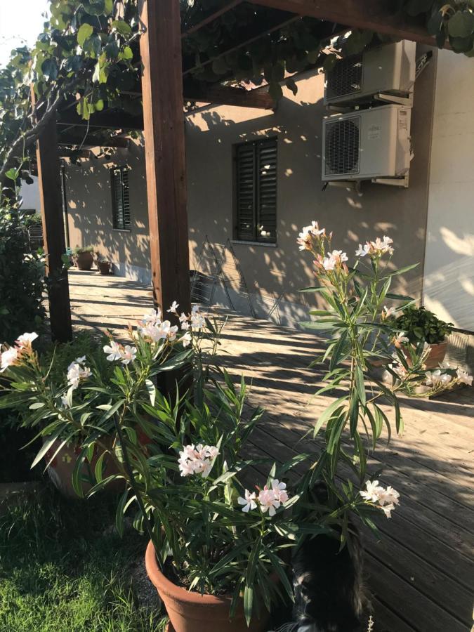 Villa Istrska Hisa Centurium Marezige Exterior foto