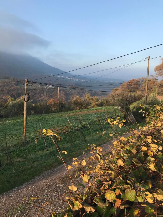 Villa Istrska Hisa Centurium Marezige Exterior foto